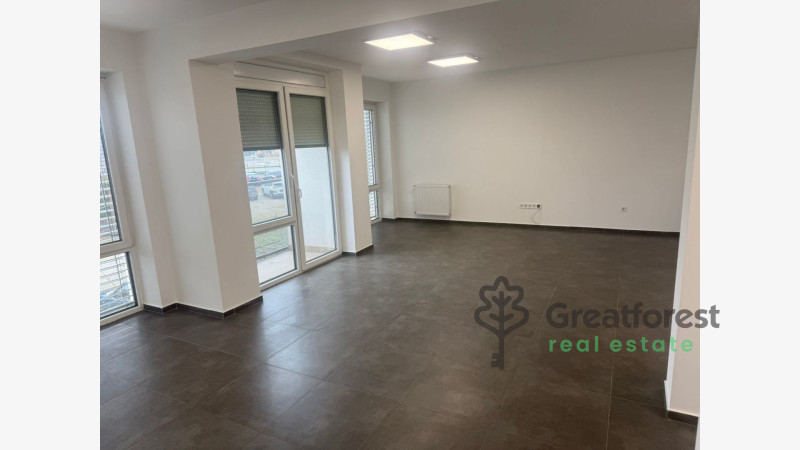 Debrecen, Liget Residencial Park, office not in office building  