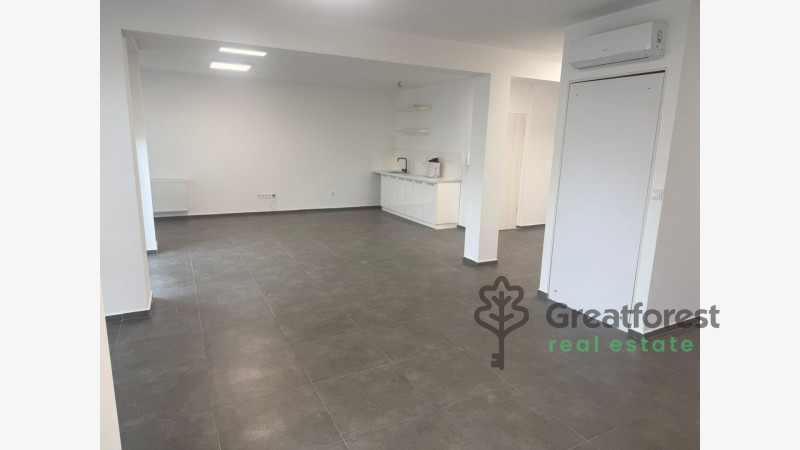 Debrecen, Liget Residencial Park, office not in office building  