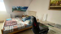 Debrecen, Greatforest Area, room  