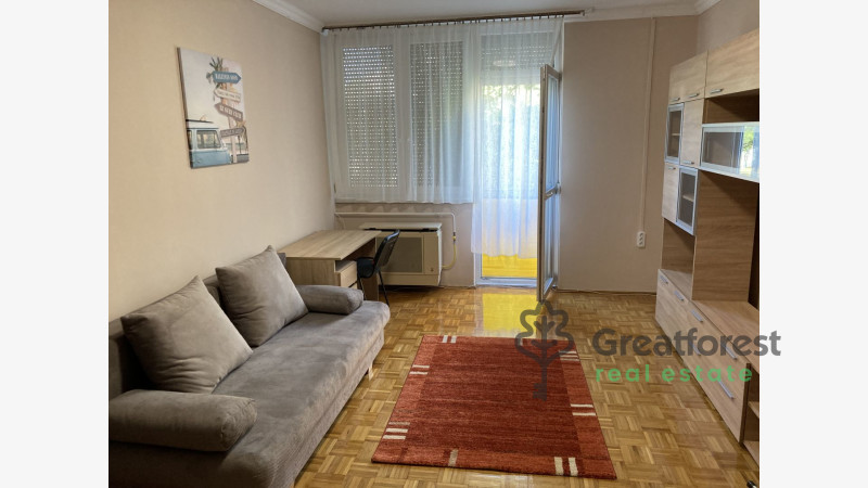 Debrecen, Close To Main Campus, flat  