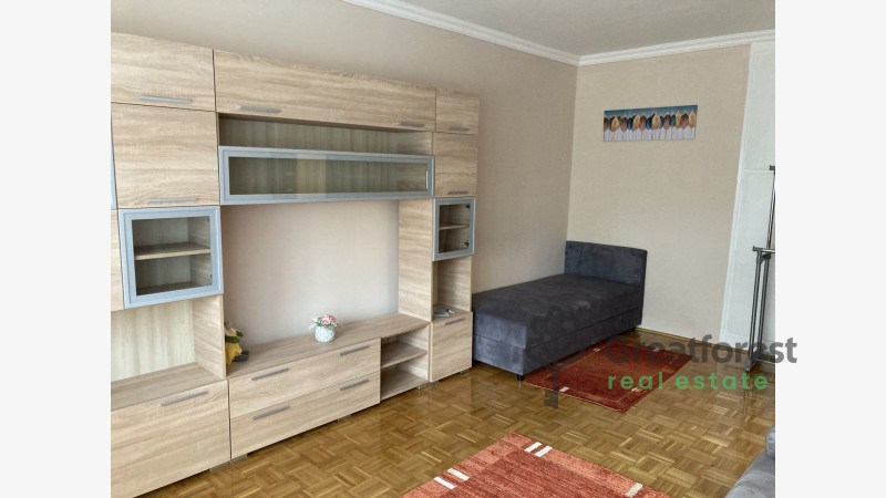 Debrecen, Close To Main Campus, flat  