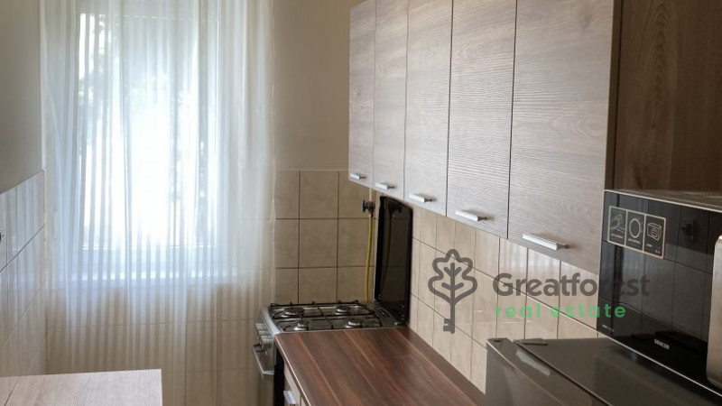 Debrecen, Close To Main Campus, flat  