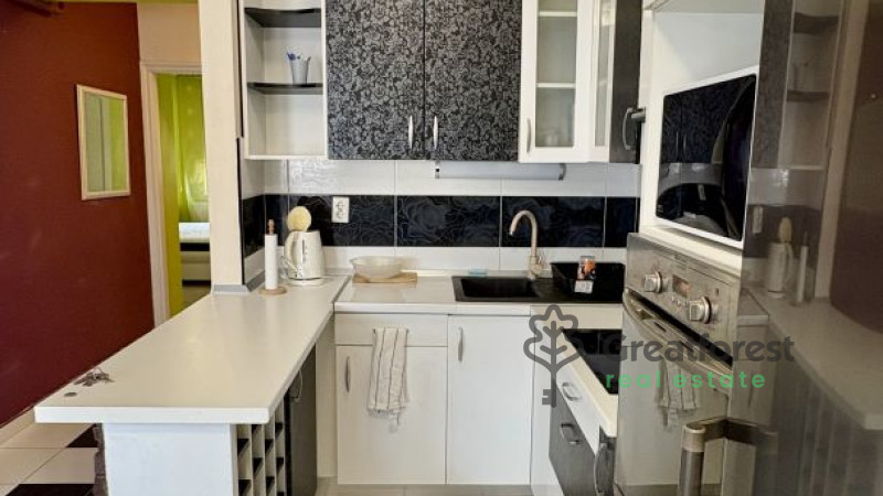 Debrecen, Close To Kassai Campus, flat  