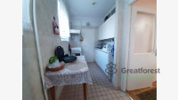 Debrecen, Greatforest Area, flat  