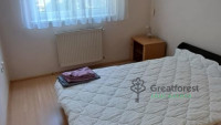 Debrecen, Greatforest Area, flat  