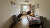 Debrecen, Close To Main Campus Agricult. Unversity, block of flats  