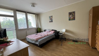 Debrecen, Close To Main Campus Agricult. Unversity, block of flats  