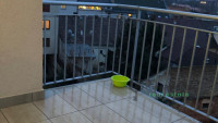 Debrecen, City Center, flat  