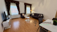Debrecen, City Center, flat  