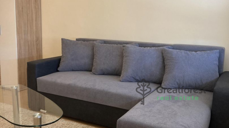 Debrecen, Close To Main Campus, flat  