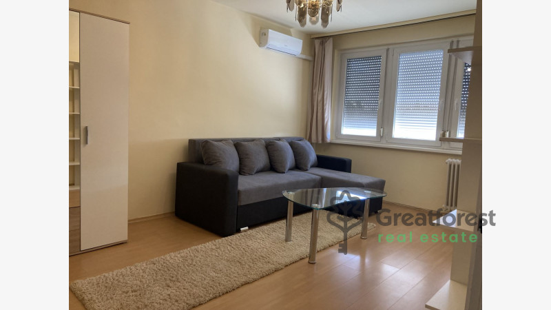 Debrecen, Close To Main Campus, flat  