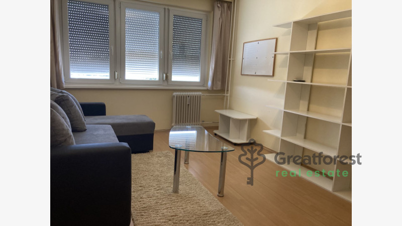 Debrecen, Close To Main Campus, flat  