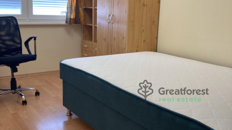 Debrecen, Close To Main Campus, flat  