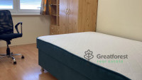 Debrecen, Close To Main Campus, flat  