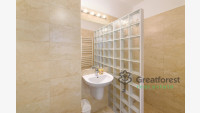 Debrecen, Greatforest Area, block of flats  