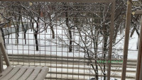 Debrecen, Close To Main Campus Agricult. Unversity, flat  