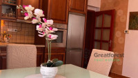 Debrecen, Close To Main Campus Agricult. Unversity, flat  