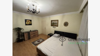 Debrecen, flat  