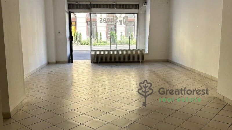 Debrecen, City Center, commercial premises not in shopping center  