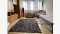 Debrecen, Close To Main Campus, flat  