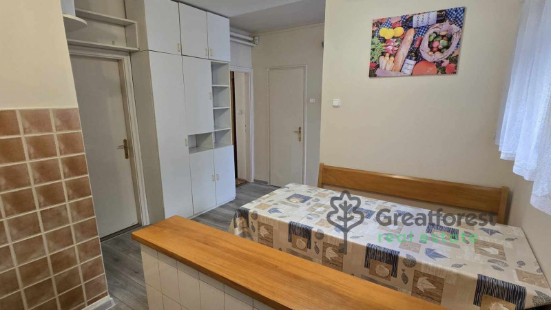 Debrecen, Close To Main Campus, flat  