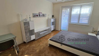 Debrecen, Close To Main Campus, flat  