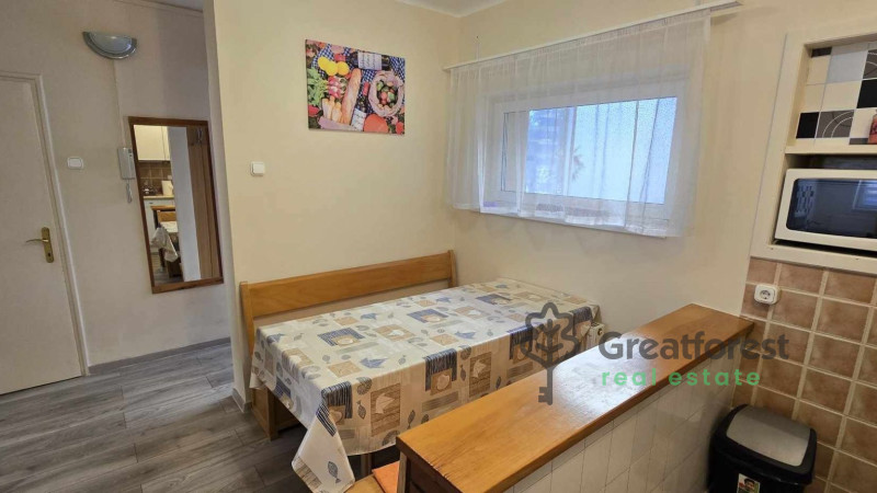 Debrecen, Close To Main Campus, flat  