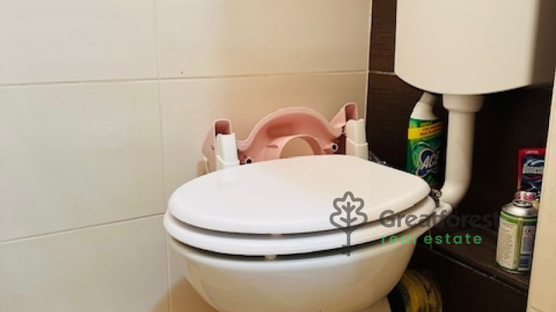 Debrecen, City Center, flat  