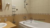 Debrecen, City Center, flat  