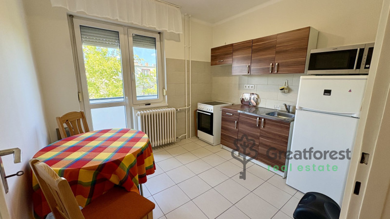Debrecen, Close To Main Campus, flat  