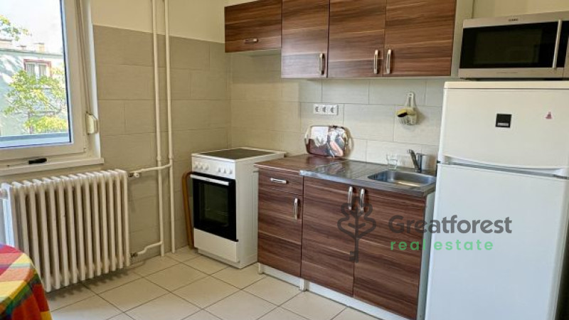 Debrecen, Close To Main Campus, flat  