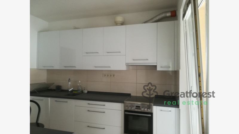 Debrecen, Greatforest Area, flat  