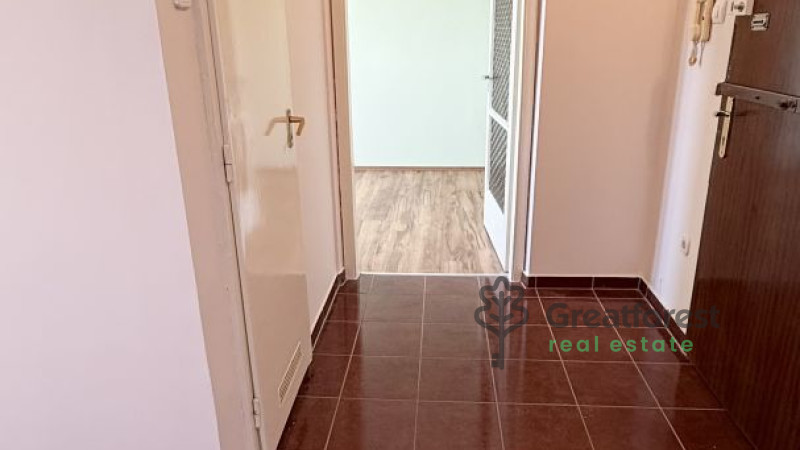 Debrecen, Close To Main Campus Agricult. Unversity, block of flats  