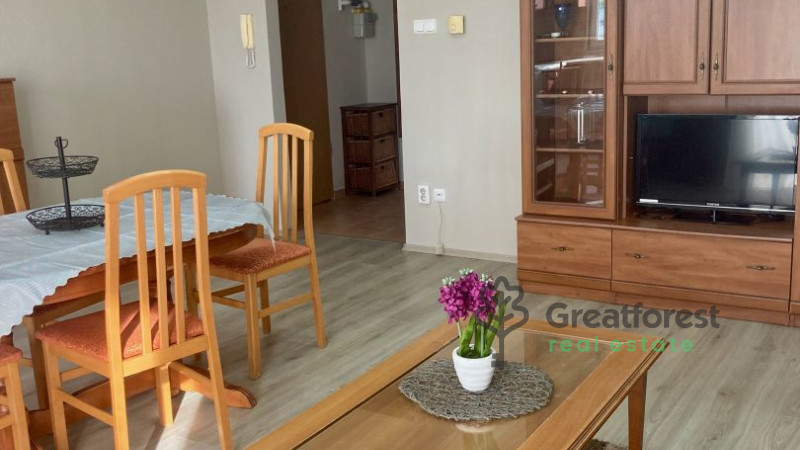 Debrecen, Close To Main Campus, flat  