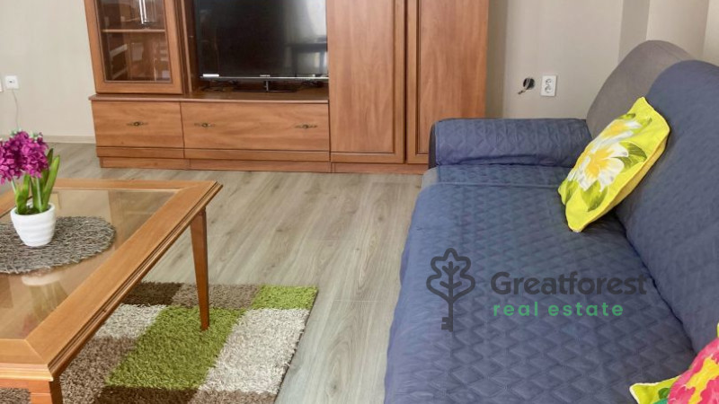 Debrecen, Close To Main Campus, flat  
