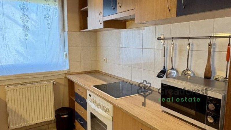 Debrecen, Greatforest Area, flat  