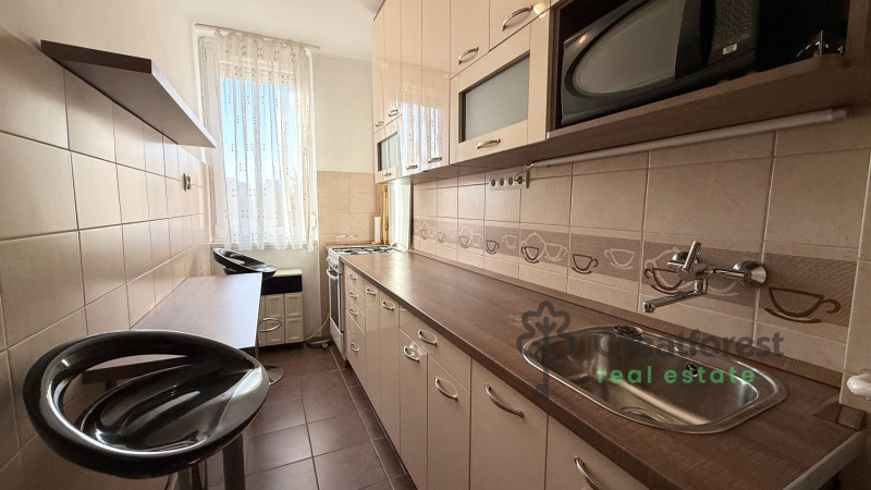 Debrecen, Close To Main Campus, flat  