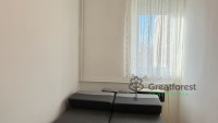 Debrecen, Close To Main Campus, flat  