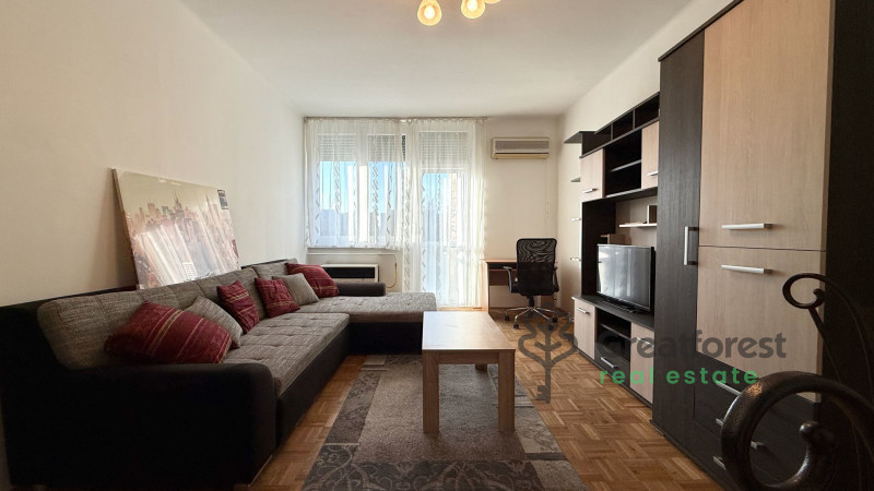 Debrecen, Close To Main Campus, flat  