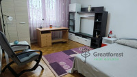 Debrecen, Close To Main Campus, flat  