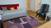 Debrecen, Close To Main Campus, flat  