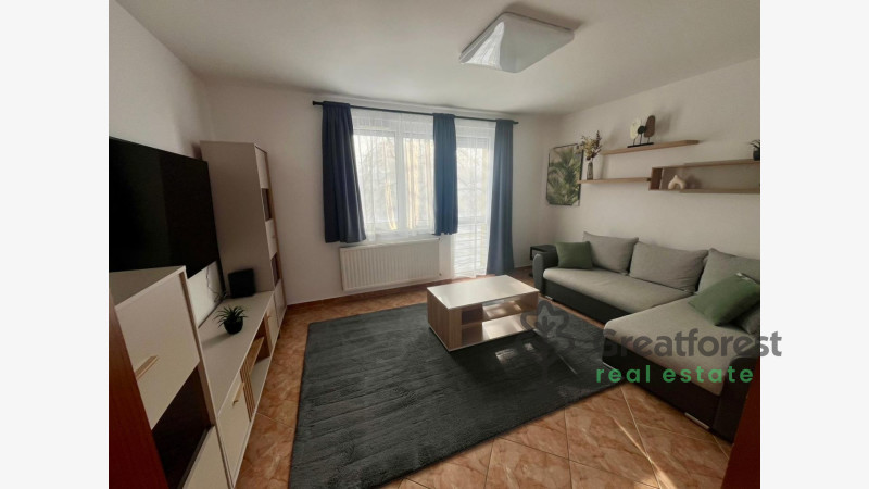Debrecen, Bem Square, flat  