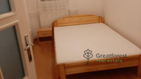 Debrecen, Close To Main Campus, flat  