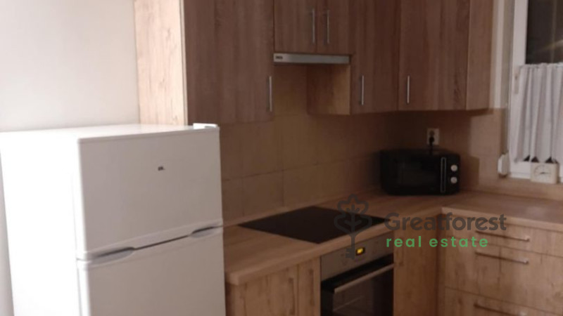 Debrecen, Close To Main Campus, flat  