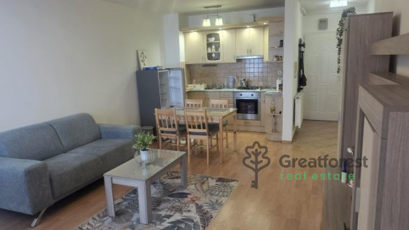 Debrecen, City Center, flat  