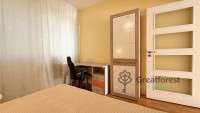 Debrecen, Close To Main Campus, flat  