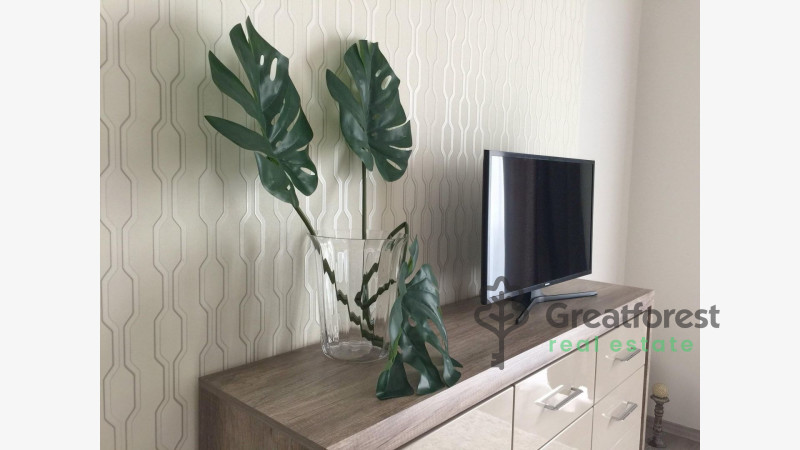 Debrecen, City Center, flat  