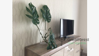 Debrecen, City Center, flat  