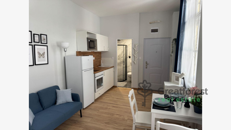 Debrecen, Close To Plaza, flat  