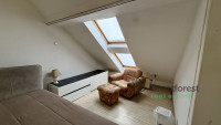 Debrecen, City Center, flat  